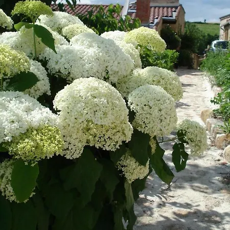 Holiday home Le Logis D'hortense Vic-le-Comte